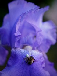 Similar image 22204318