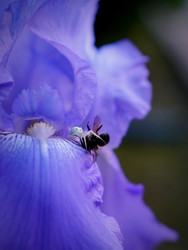 Similar image 22204319