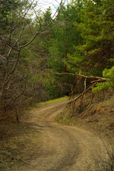 Similar image 22204322