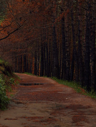 Similar image 22204326