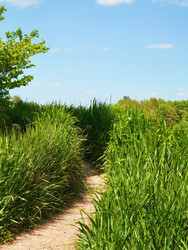 Similar image 22204329