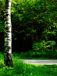 Similar image 22204331