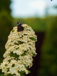 Similar image 22204333