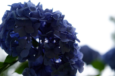 Similar image 22208768