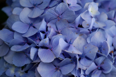 Similar image 22208769