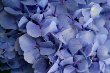 Similar image 22208770