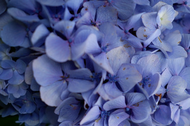 Similar image 22208771