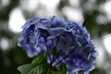 Similar image 22208772