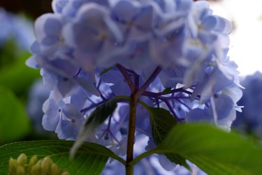 Similar image 22208773