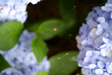 Similar image 22208774