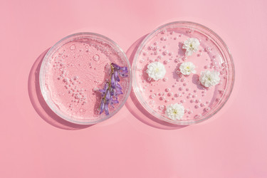 Similar image 22208642