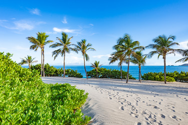 Similar image 22204672