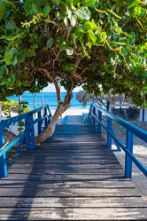 Similar image 22204673