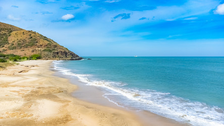 Similar image 22204674