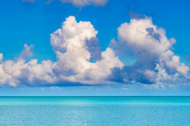 Similar image 22204679