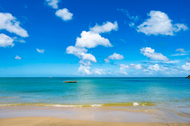 Similar image 22204681