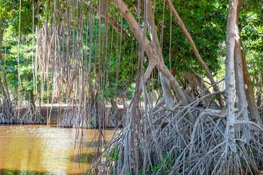 Similar image 22204683