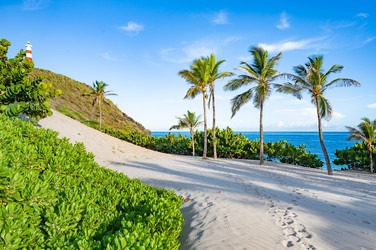 Similar image 22204684