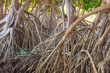 Similar image 22204686