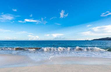 Similar image 22204717