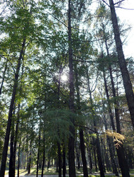 Similar image 22206230