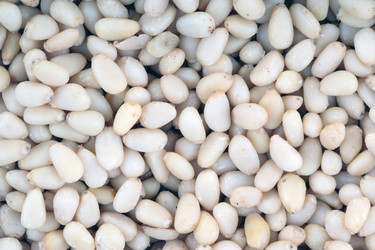 Similar image 22206244