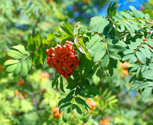 Similar image 22206250