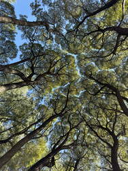 Similar image 22210135