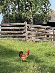 Similar image 22210137