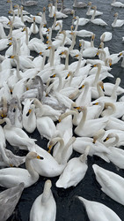 Similar image 22210138