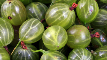 Similar image 22207002