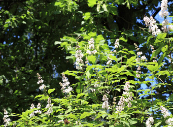 Similar image 22207009