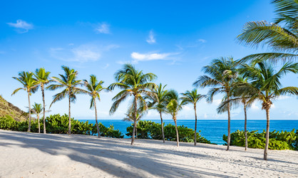 Similar image 22204721