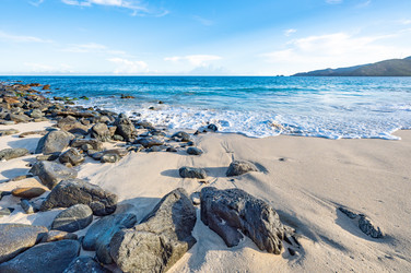 Similar image 22204723