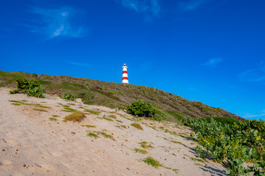 Similar image 22204726