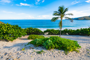 Similar image 22204730