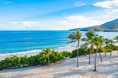 Similar image 22204731