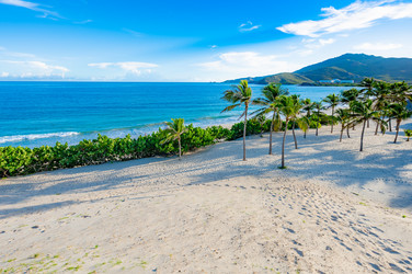 Similar image 22204732