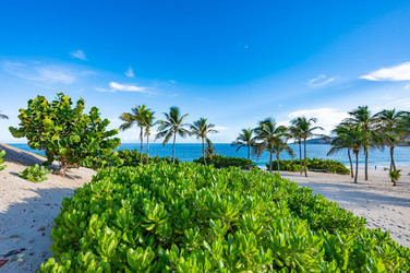 Similar image 22204733