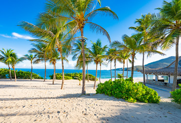 Similar image 22204734