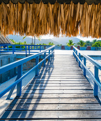 Similar image 22204736