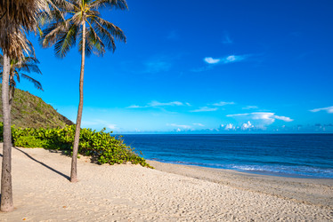 Similar image 22204738