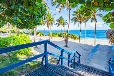 Similar image 22204739