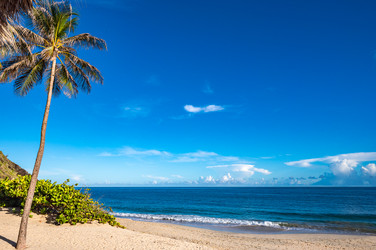 Similar image 22204740