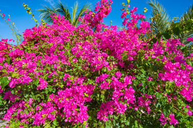 Similar image 22204743