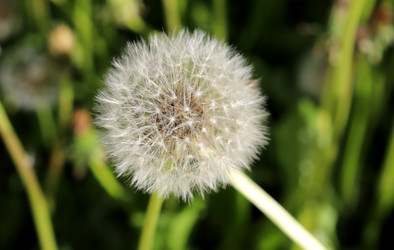 Similar image 22206332