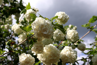 Similar image 22206333