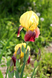 Similar image 22206334