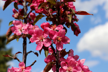 Similar image 22206335