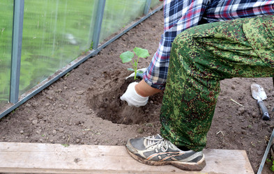 Similar image 22206337